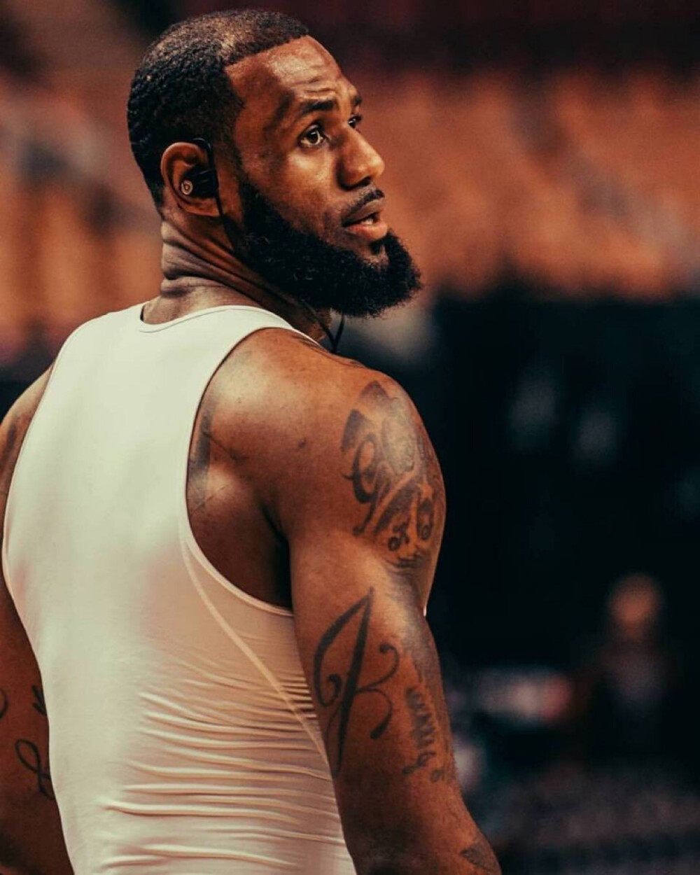 二传的节奏 二传的节奏